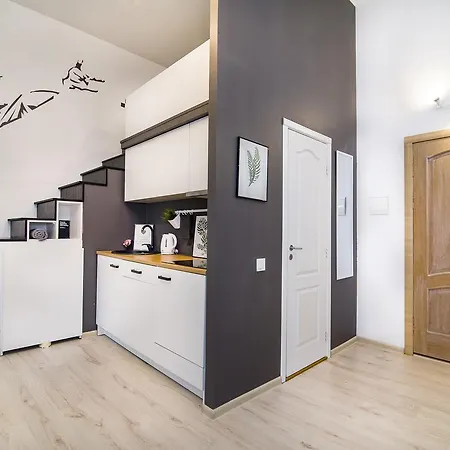 Rock'n'roll Lofts Old Town فيلنيوس